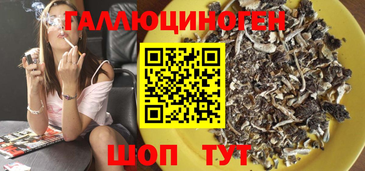 Галлюциногенные грибы GOLDEN TEACHER  Вход с VPN  Псилоцибиновые грибы Magic Shrooms  Усть-Джегута 
