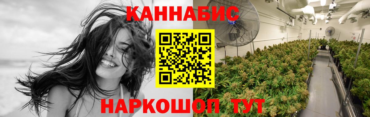 Усть-Джегута  Бошки марихуана тримм  Бошки марихуана Ganja  Вход с VPN  Канабис план 
