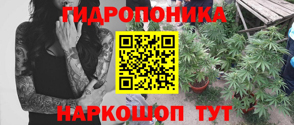 Бошки Шишки LSD WEED Усть-Джегута
